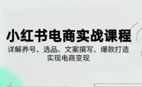小红书从0-1实操课(2023-2025),详解养号、选品、文案撰写、爆款打造实现电商变现-极客星球