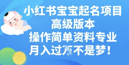 小红书宝宝起名项目高级版本,操作简单,资料专业,月入过W-极客星球