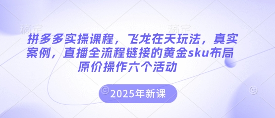 拼多多实操课程,飞龙在天玩法,真实案例,直播全流程链接的黄金sku布局原价操作六个活动-极客星球