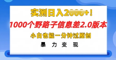2025抖音1000个野路子信息差最新玩法,一分钟过原创,暴力变现月入几k-极客星球