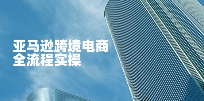（14252期）亚马逊跨境电商全流程实操，教你从零开始，掌握店铺运营与广告技巧-极客星球