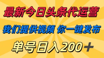 最新今日头条代运营,我们提供视频,你一键发布,单号日入200+【揭秘】-极客星球