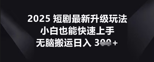 2025短剧最新升级玩法,小白也能快速上手,无脑搬运日入3张-极客星球