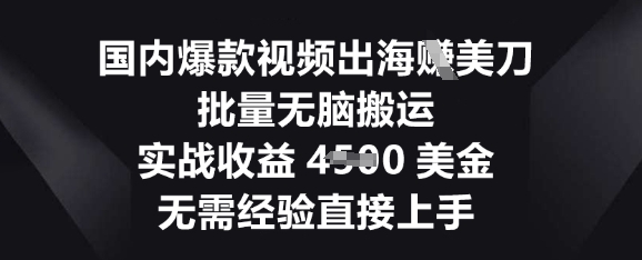 国内爆款视频出海挣美刀,批量无脑搬运,实战收益4.5k,无需经验直接上手-极客星球