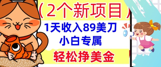 2个新项目,轻松挣美金, 1天收入89美刀,小白专属,干货分享-极客星球