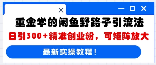 重金学的闲鱼野路子引流法，日引300+精准创业粉，可矩阵放大-极客星球