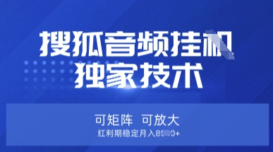【搜狐音频挂G】独家技术,可矩阵可放大,红利期稳定月入8k【揭秘】-极客星球