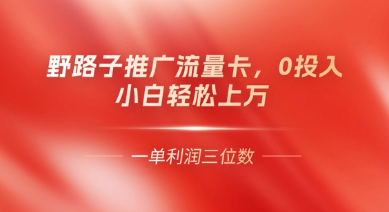 0门槛推广流量卡，一单收益上百，0投入，小白月入过W-极客星球