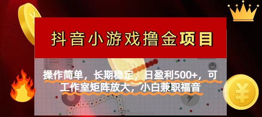 (14290期)【抖音小游戏发行人计划项目】操作简单,长期稳定,日盈利500+,可工作...-极客星球