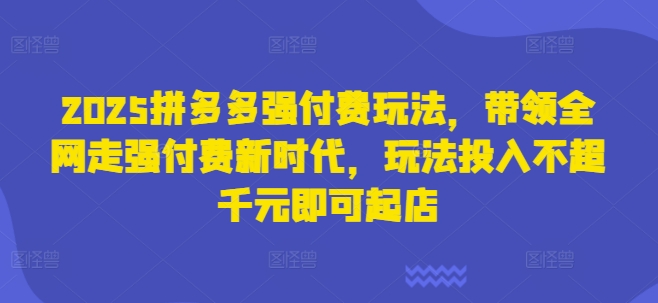 2025拼多多强付费玩法，带领全网走强付费新时代，玩法投入不超千元即可起店-极客星球