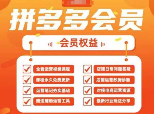 2025拼多多运营实战课，40节全流程教学，覆盖拼多多运营全链路-极客星球
