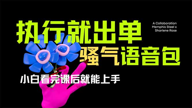 (14170期)爆火全网的开车导航骚气语音包,只要执行就出单,小白看完课程就能实操...-极客星球
