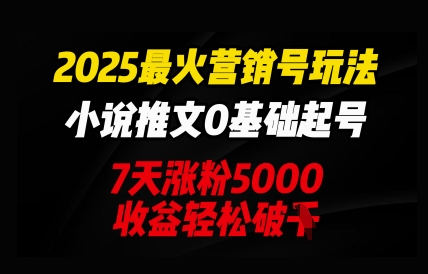 2025最火营销号玩法:小说推文0基础起号,7天涨粉5000,收益轻松破k-极客星球
