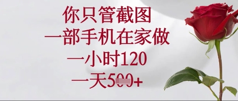 你只管截图,一部手机在家操作,一小时120.一天5张【揭秘】-极客星球