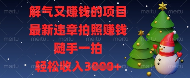解气又挣钱的项目，最新违章拍照挣钱，随手一拍，轻松收入数张【揭秘】-极客星球